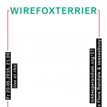 nil57-wirefoxterrier-infinitepal